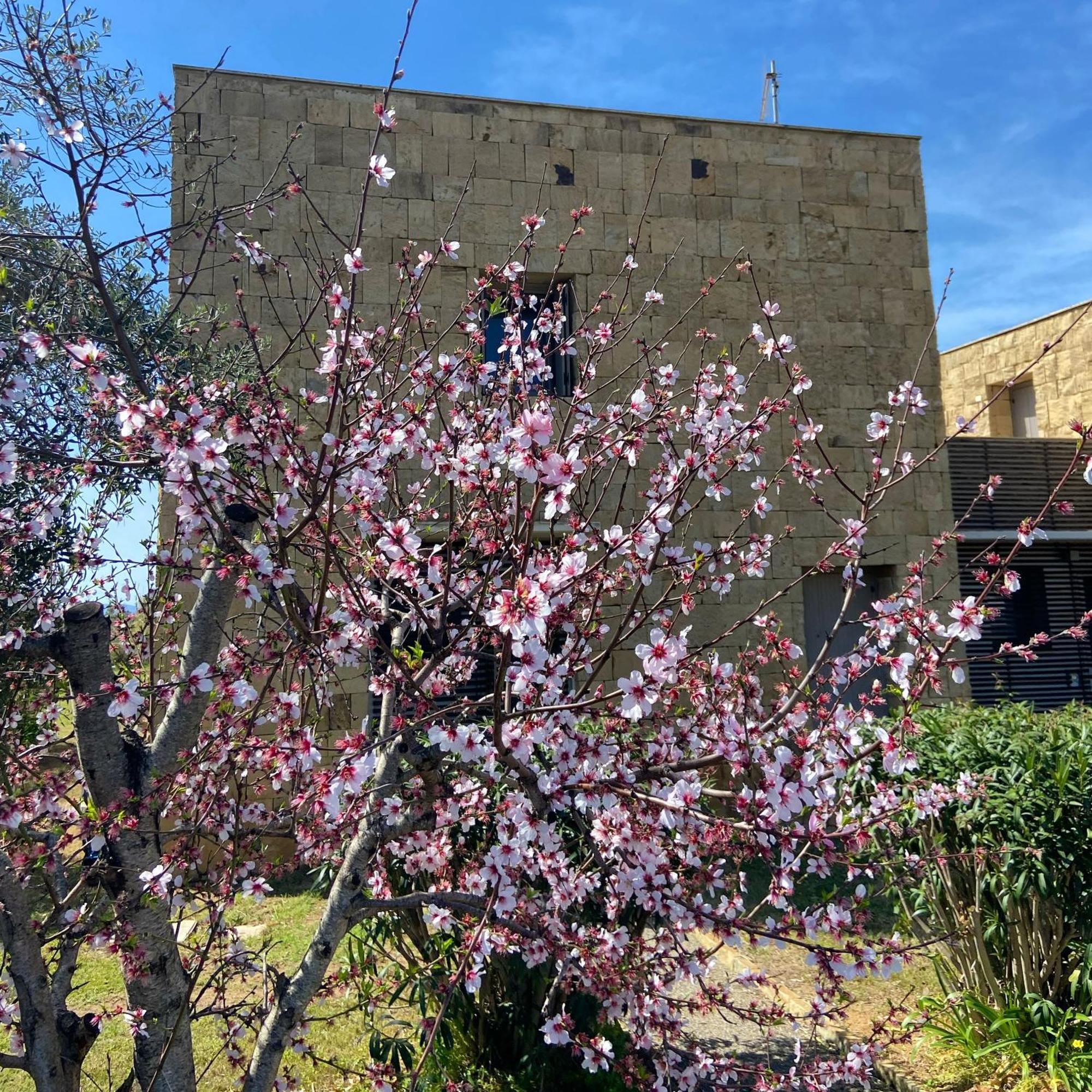 הוילה Masainas Casa Barbara Sardinia מראה חיצוני תמונה
